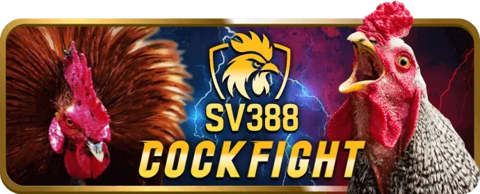 Ưu đãi độc quyền và chương trình VIP hấp dẫn từ mu88 game